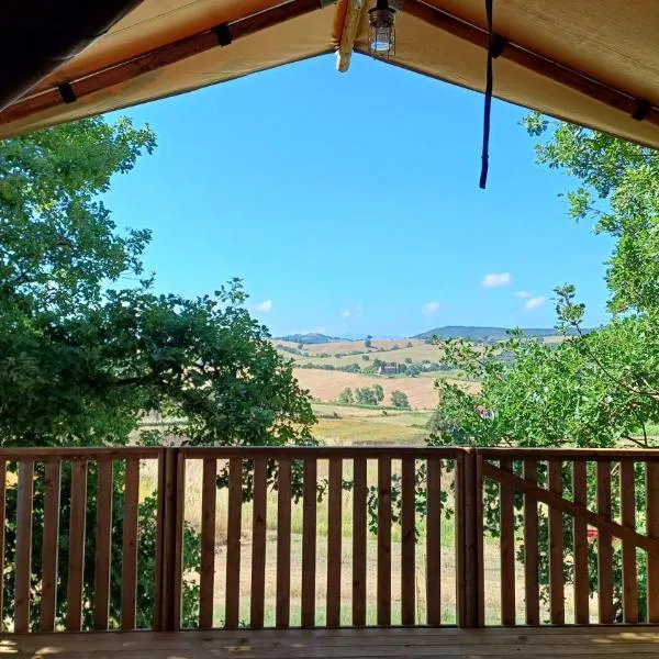 Glamping Podere Angiotto LODGE LAVANDA, hotel a Magliano in Toscana