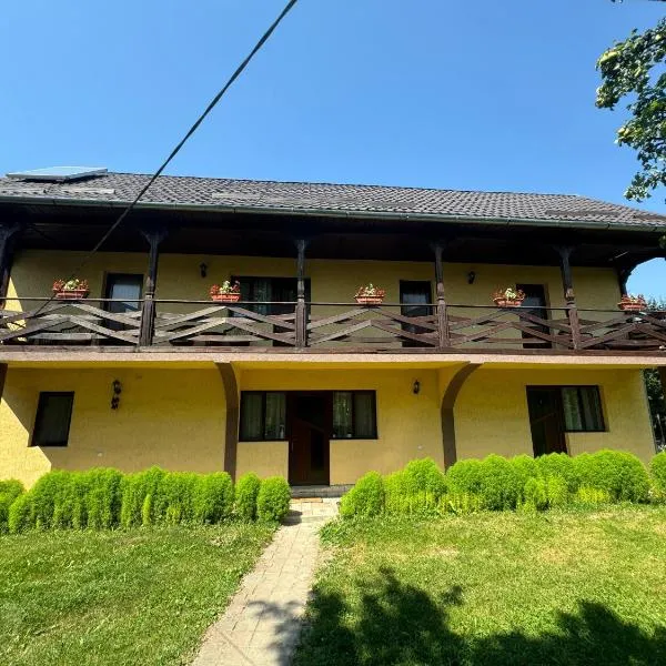 Casa Eliza, hotel di Ocna Şugatag