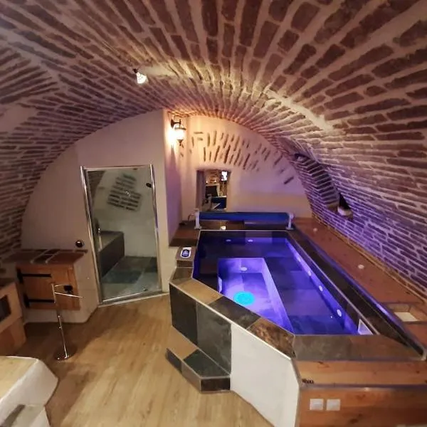 Studio et spa privatif Le Puits de la Grâce, hotel v destinaci Albi