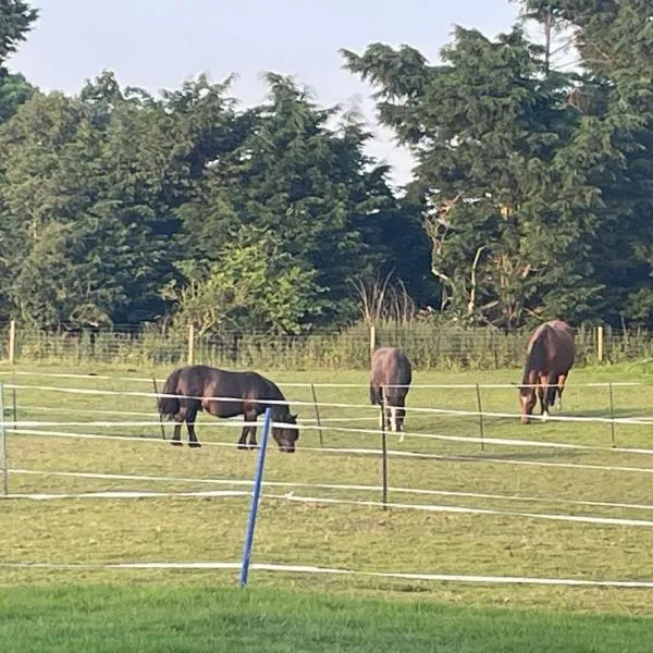 Tranquil Equestrian Escape - Sleeps 2, hotel in Trusthorpe