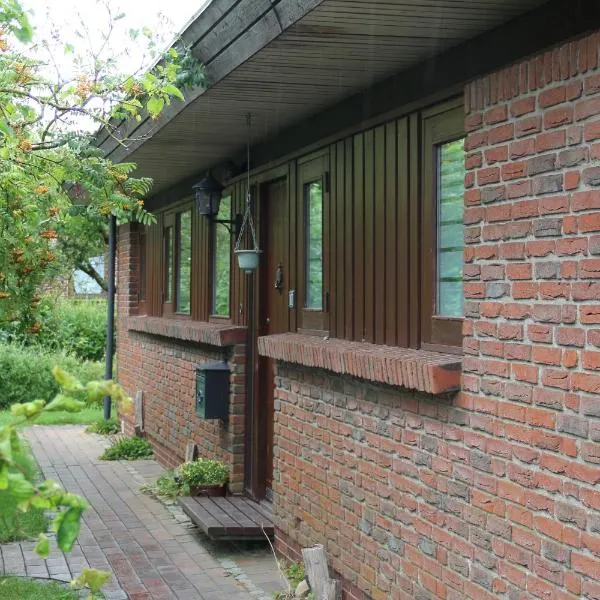 Ferienhaus am Belmermoor 167, hotel in Brunsbüttel