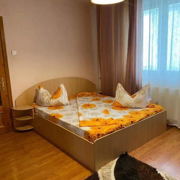 Apartament Darya, hotel v destinaci Băile Felix