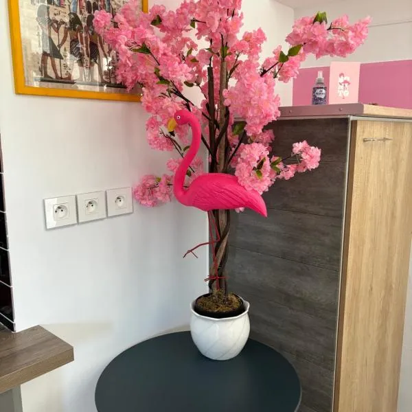 maison pink flamingo aeroport tillé 2 a 4 personnes, hotel v destinaci Tillé