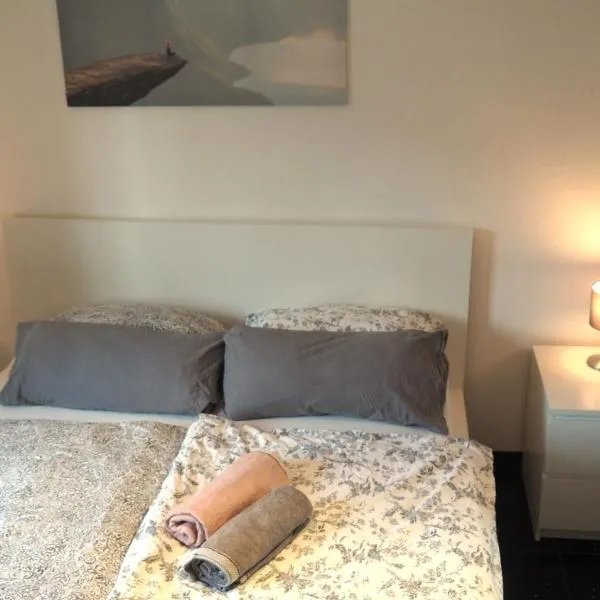 Möblierte Wohnung Nähe BASF Ludwigshafen/Mannheim mit Privatparkplatz, hotel in Ludwigshafen am Rhein