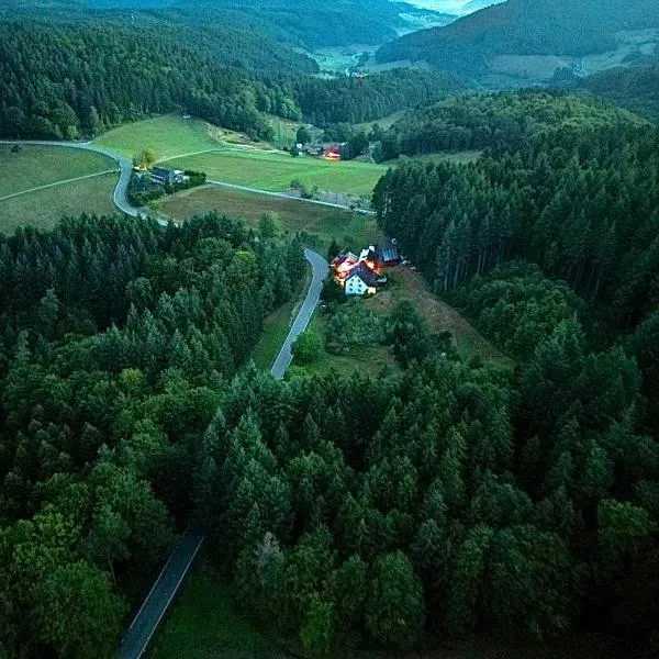 Ferien im Schwarzwald Freiamt, hotel v destinaci Freiamt