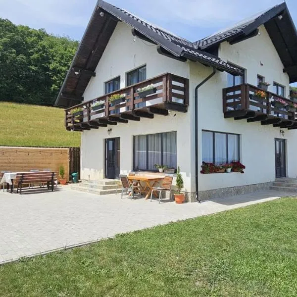 Cezar House, hotel em Codlea