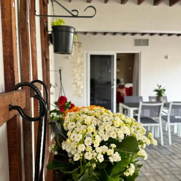 Cozy 2 Bedroom Apartment in Brakkeput، فندق في فيليمستاد