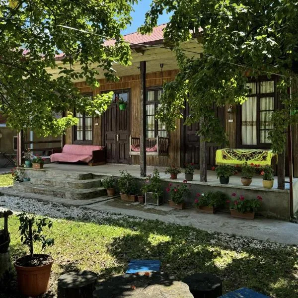 Martvili Guest House OASIS, hotel v mestu Martvili