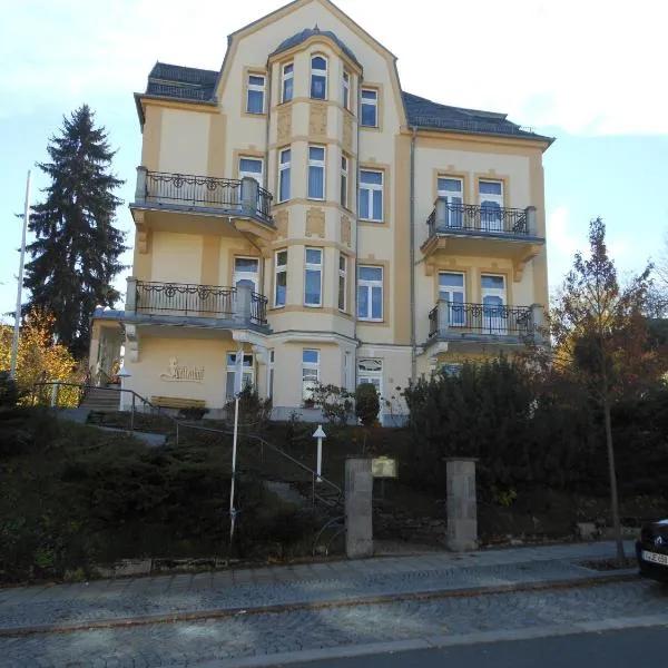 Pension Fürstenhof, hotel i Bad Elster