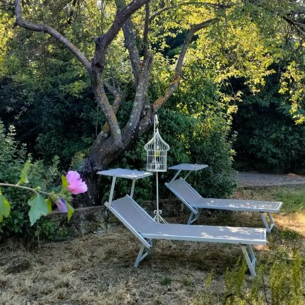 La Casa di Lella - 15 minuti dal mare, hotel in Riparbella