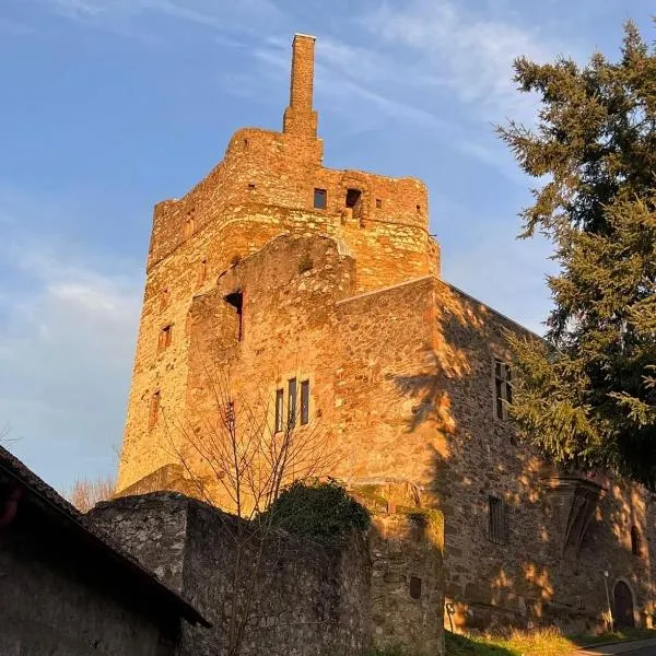 Burg Hermannstein - Rittersaal, hotel v destinaci Wetzlar