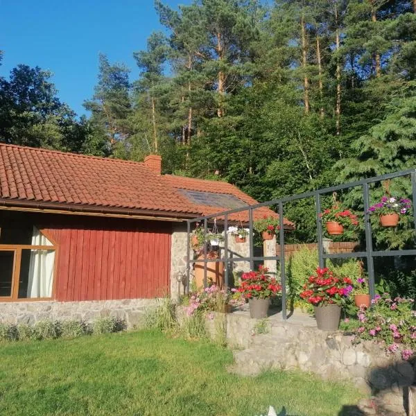 Silnowo Kwietny Raj, hotel din Silnowo