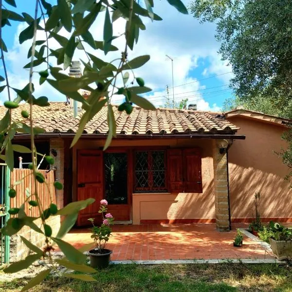 all'ombra degli olivi, hotel in Pisciarelli