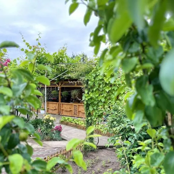 Home and Garden EuroVelo 6, hotel en Călăraşi