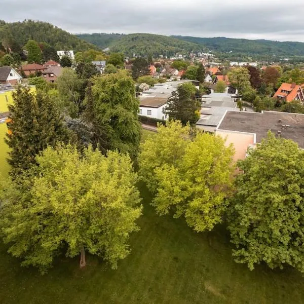 Harzhorst, hotel in Bad Harzburg
