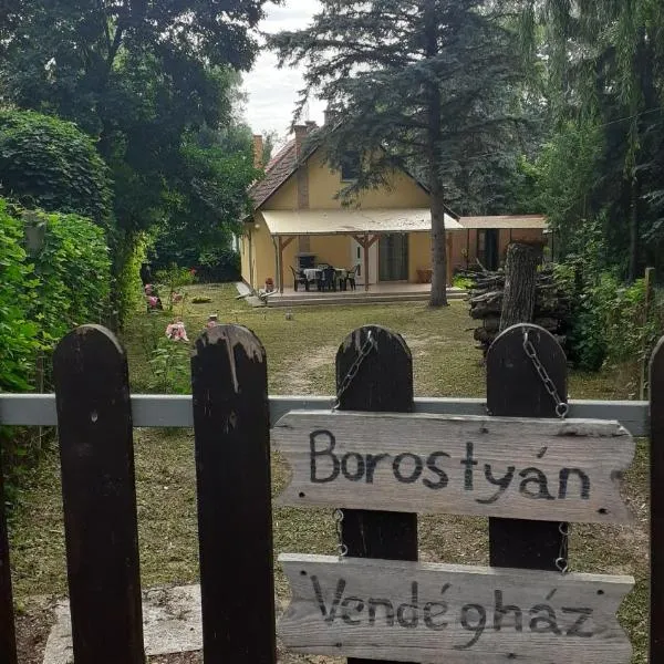 Borostyán Vendégház, hotel v destinaci Tiszaug