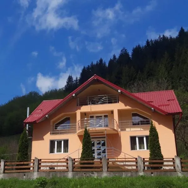 Pensiunea Mary & Ela, hotel v destinaci Vadu Moţilor