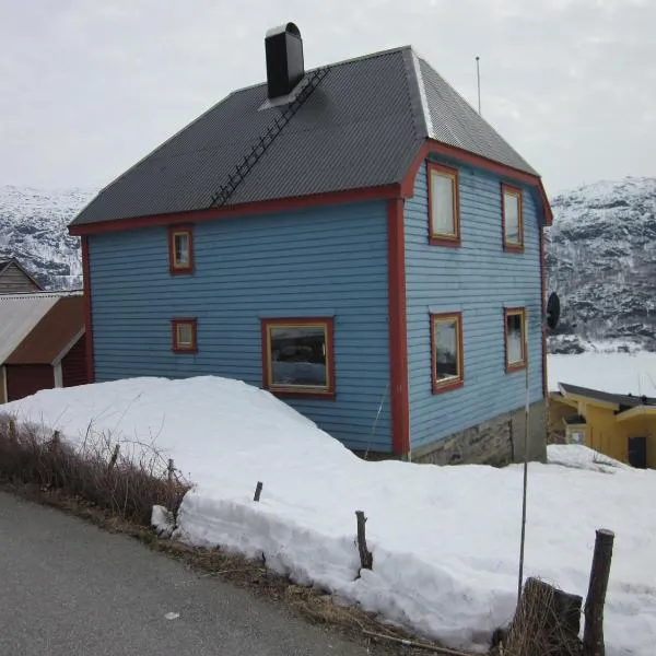 The blue house, Røldal, hotelli kohteessa Røldal