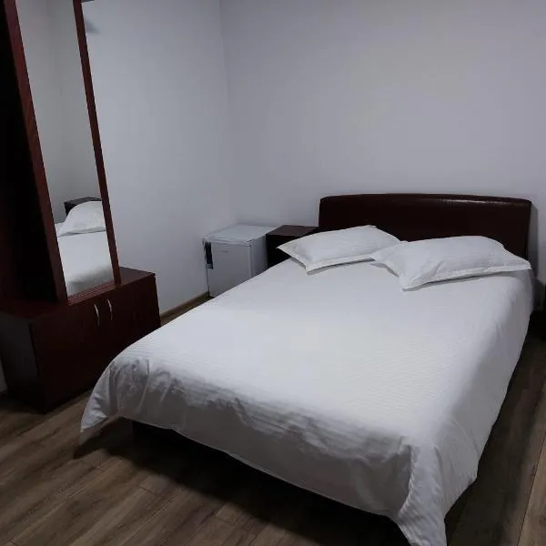 Hotel Roua Muntilor、ネホイウのホテル