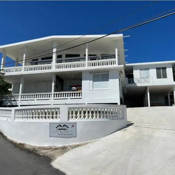 Los Roires Beach Apartments, hotel en Fajardo