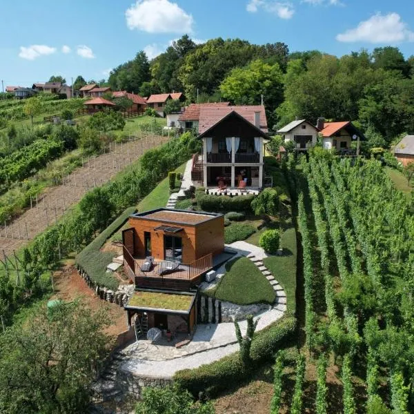 Relax with view Holiday House, готель у місті Remetinec