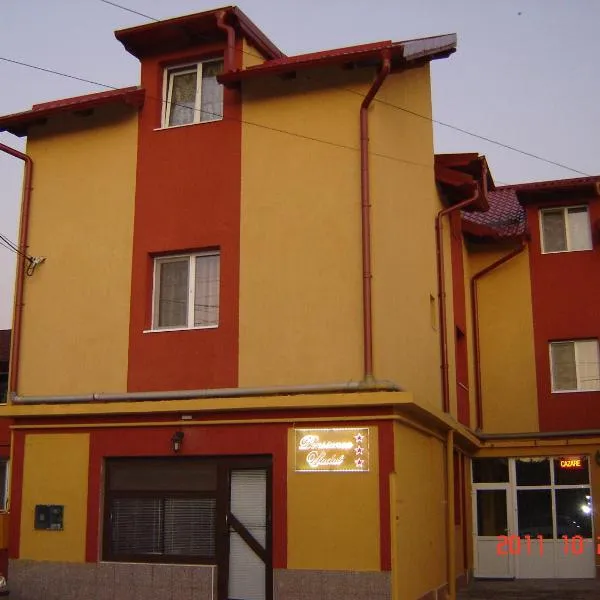 Pensiunea Vladut Timisoara, hotel in Timişoara