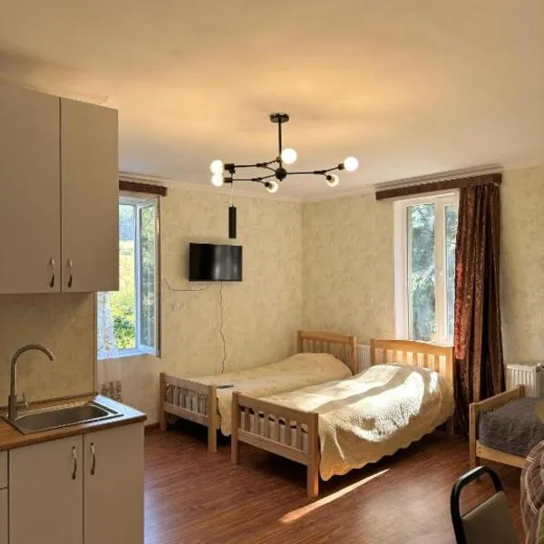 Evergreen Surami Hotel, hotel en Surami