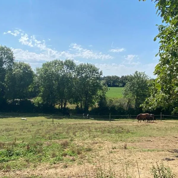 chambre d'hôtes des roseaux – hotel w mieście La Forêt-sur-Sèvre