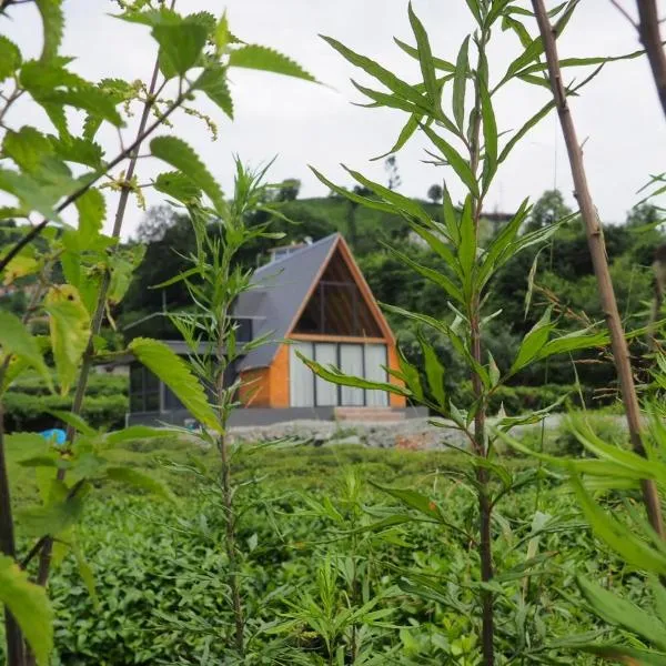 Dere Bungalov Suit, hotel in Cayeli