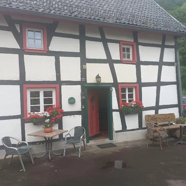 Fereien Wohnung Olef, hotel v destinaci Schleiden