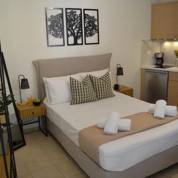 Platanos View Studio, hotel v destinácii Spílion