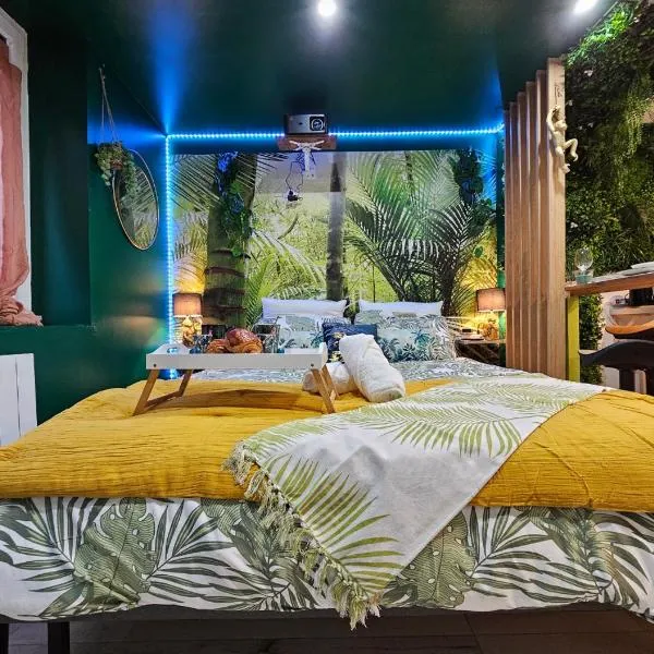 Cap Jungle Evasion: Cinema Netflix King size, hotel in Limoux