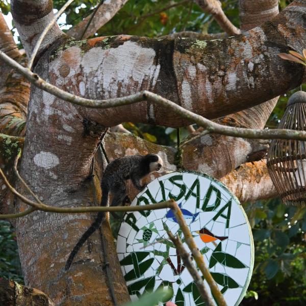 Pousada Habitat Caraíva - Foto 2