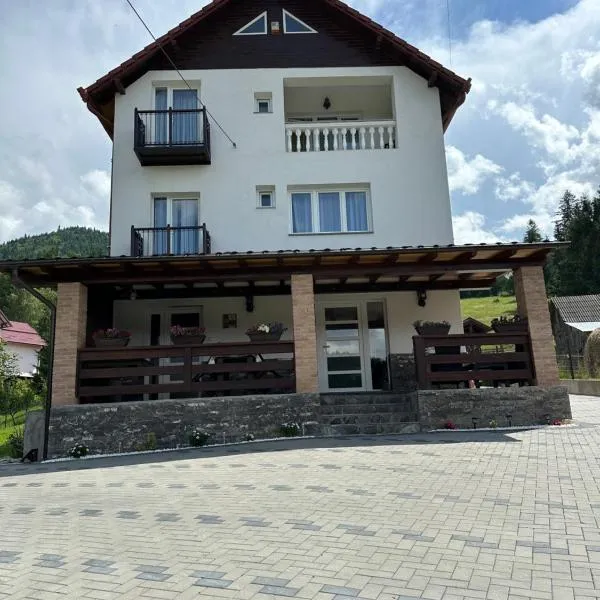 CASA IKA&MATEI, hotel v destinaci Borşa