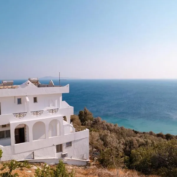 Andros Seaview Hotel, hotel v destinácii Batsi