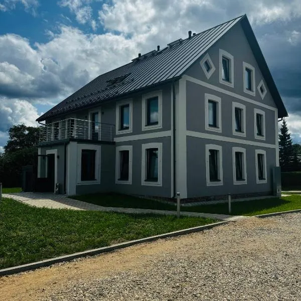 Raina 28 apartment, hotel in Madona