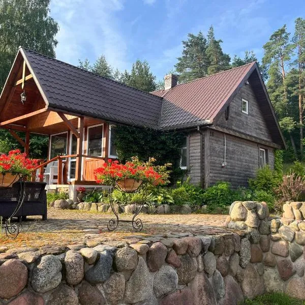 Drewniany Domek w Zakątku Andrzeje Śniczany 18, hotel a Sniczany