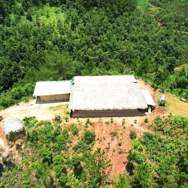 Nature Homestay Mù Cang Chải, hotel in Mù Cang Chải