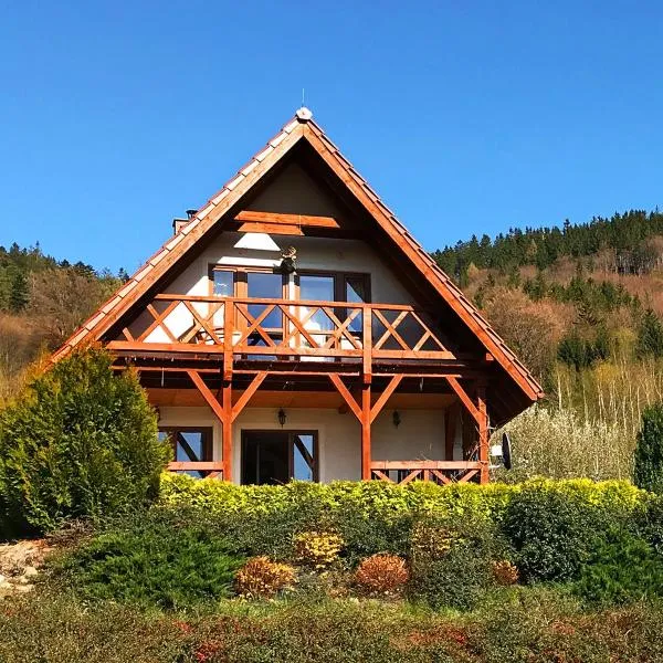 Alpejka - Domek Górski, hotel v destinaci Idzików