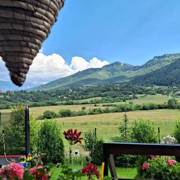 Casa Meresanu, hotel in Zărneşti