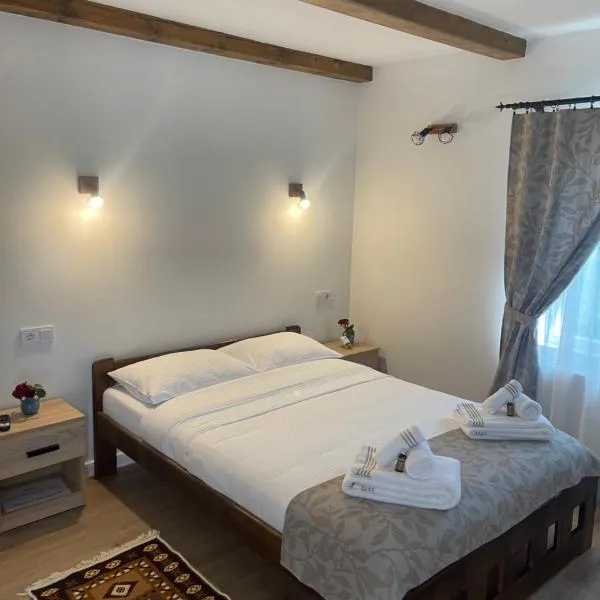 Casa Vonvea, hotel v destinaci Ocna Şugatag