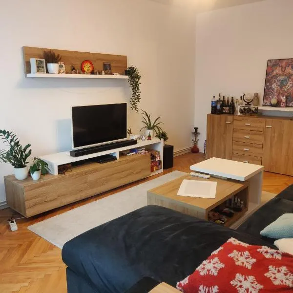 Home sweet home -Central & cozy、Iernutのホテル