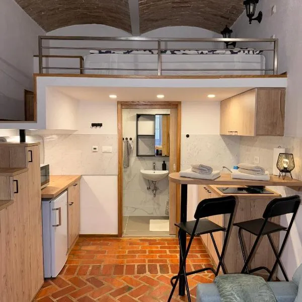 Zenroom Apartments, hotel v Lublani
