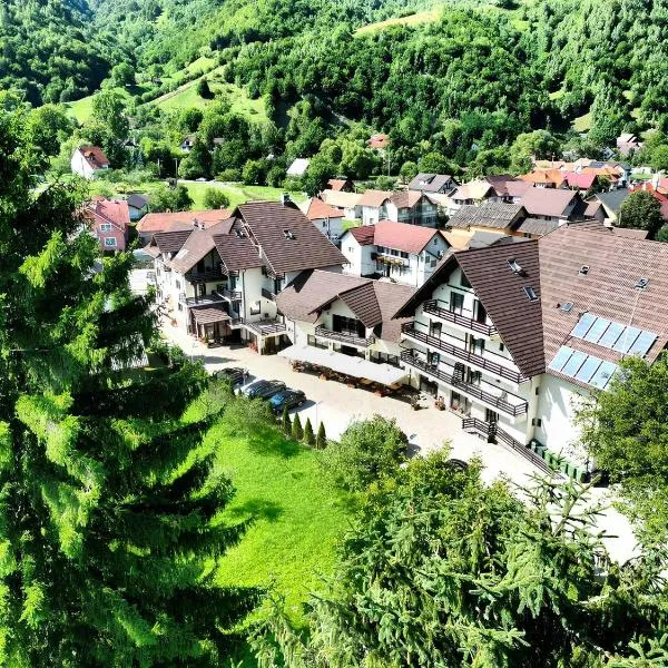 Pensiunea Andrei Moieciu, hotel din Moieciu de Jos