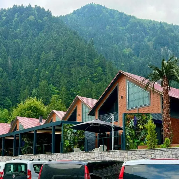 Uzungol Ada Bungalow, hotel di Uzungöl