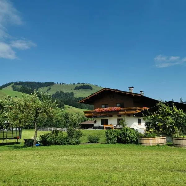 Ferienwohnung Eder, hotel di Hochfilzen