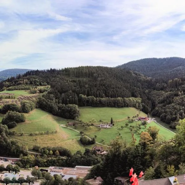 Hotel Schauinsland, hotel v destinaci Bad Peterstal-Griesbach