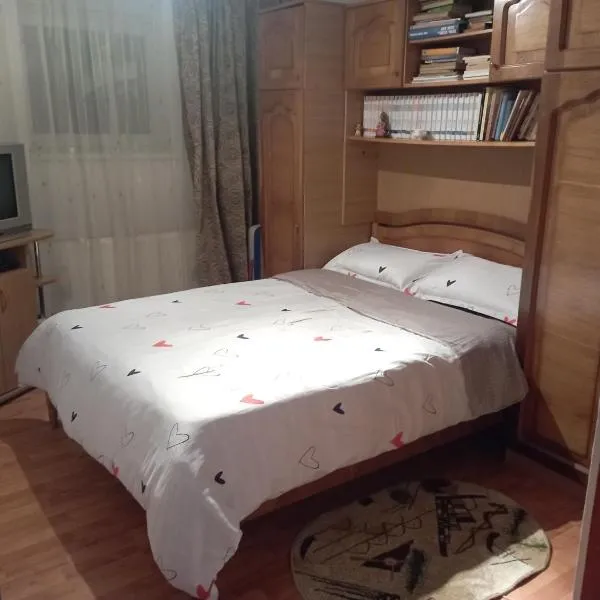 Casă ultracentral, hotel v destinaci Fagaraš