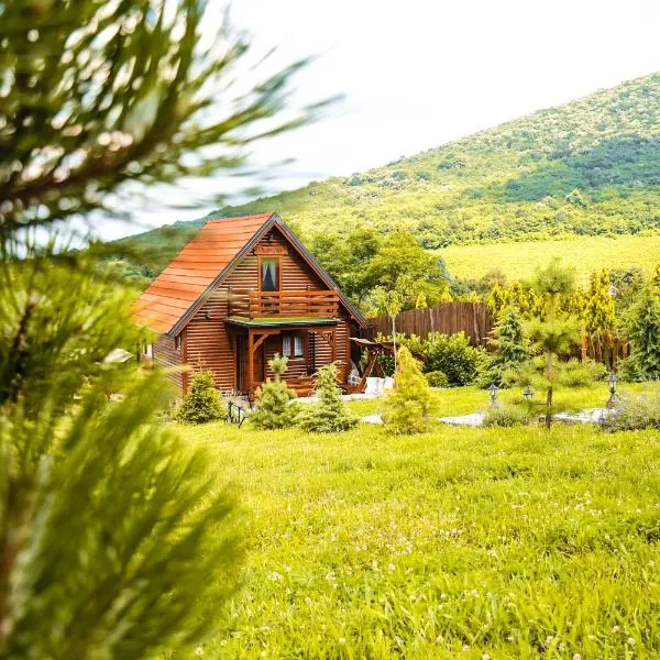 Milošev Konak, hotel v destinaci Malo Središte