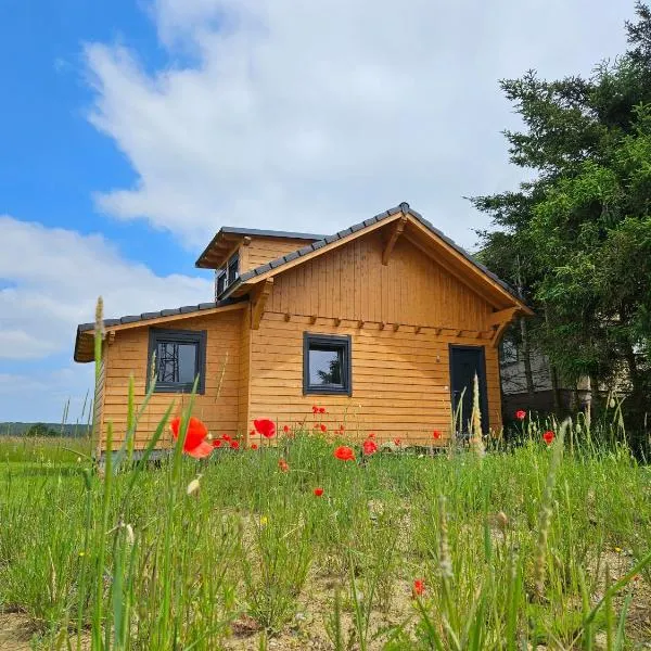 Gîte nature en Alsace Bossue – hotel w mieście Asswiller